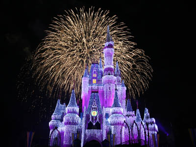walt disney world castle. November Walt Disney World